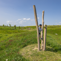 obrázek k Park Zdeňka Kopala