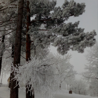 obrázek k Kornice Jinovatka 15. 2. 2021