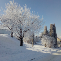 obrázek k Kornice Jinovatka 15. 2. 2021