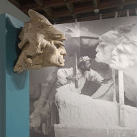 obrázek k 20. Smetanova výtvarná Litomyšl