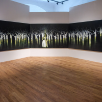 obrázek k 20. Smetanova výtvarná Litomyšl