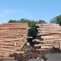 obrázek k Palivové dříví