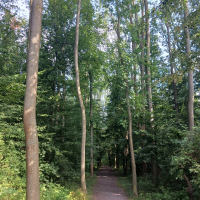 obrázek k Úvodní strana