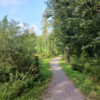 obrázek k Úvodní strana