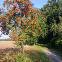 obrázek k Úvodní strana