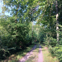 obrázek k Úvodní strana