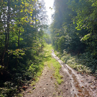 obrázek k Úvodní strana