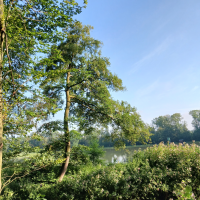 obrázek k Úvodní strana