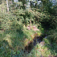 obrázek k Úvodní strana