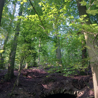 obrázek k Úvodní strana