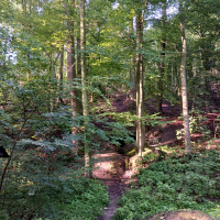 obrázek k Úvodní strana