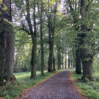 obrázek k Úvodní strana