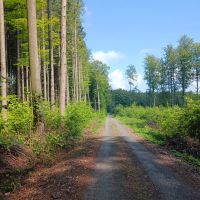 obrázek k Úvodní strana