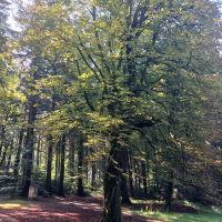 obrázek k Úvodní strana