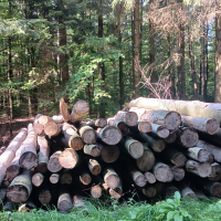 obrázek k Úvodní strana