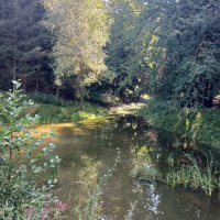 obrázek k Úvodní strana