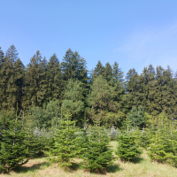 obrázek k Úvodní strana