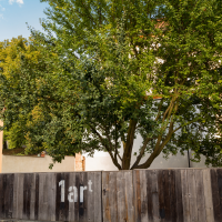 obrázek k Začátky cest