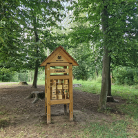 obrázek k Naučná stezka "Les" na Černé hoře