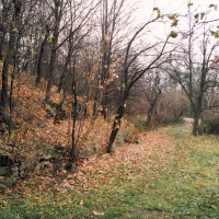 obrázek k Slavíme 25 let Klášterních zahrad!