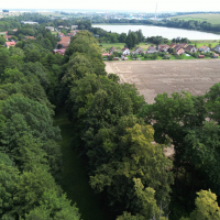 Nedošínský háj 1