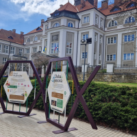 obrázek k Doba genová