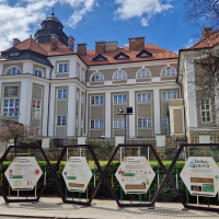 obrázek k Doba genová