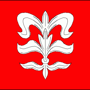 městská vlajka