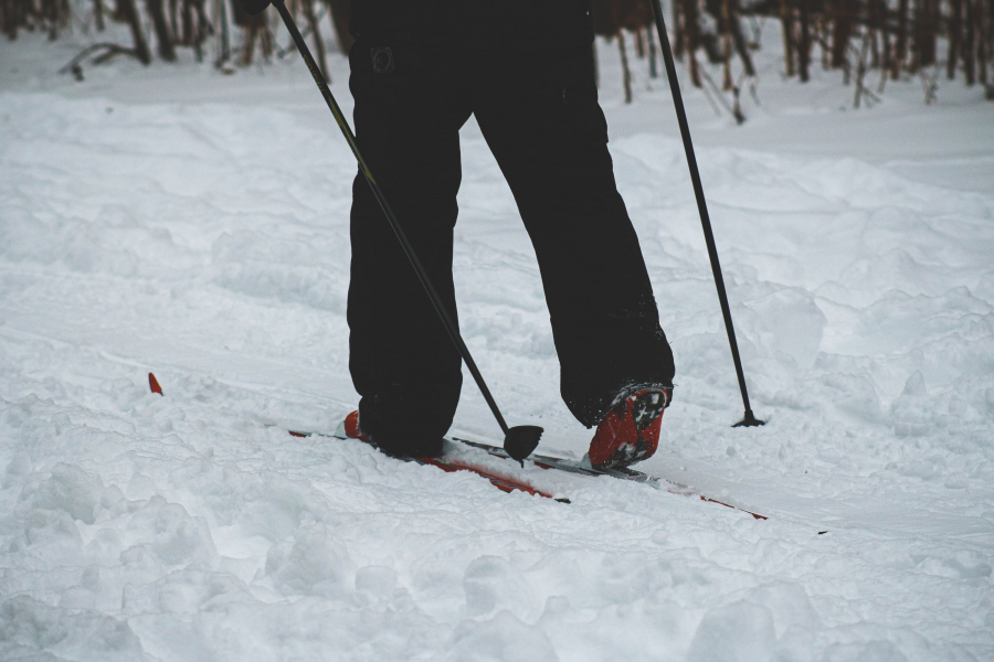 obrázek k Ilustrační foto: Unsplash.com