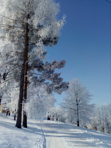obrázek k Kornice Jinovatka 15. 2. 2021