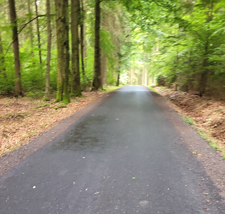 obrázek k 17526517524897894