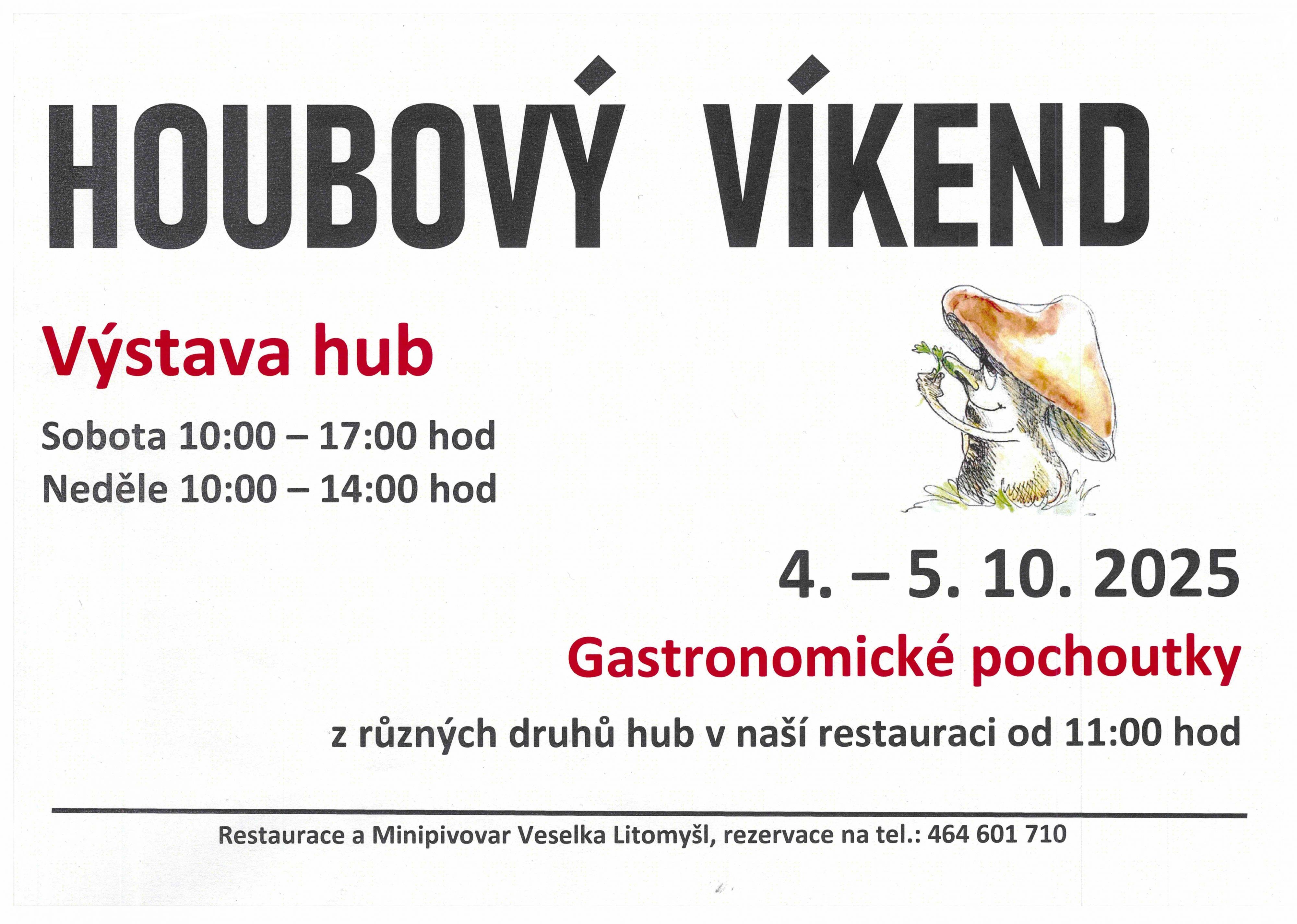 obrázek k Houby na talíři