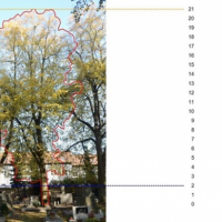 Regenerace zeleně na městském hřbitově v Litomyšli