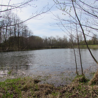 Biotopové tůně Višňáry - Město Litomyšl