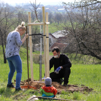 obrázek k V dubnu zapustilo kořeny 45 Stromů života pro Litomyšlata