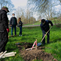 obrázek k V dubnu zapustilo kořeny 45 Stromů života pro Litomyšlata