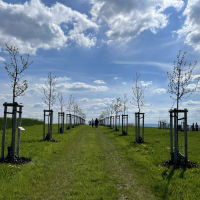 obrázek k Park Zdeňka Kopala 