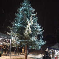 Rozsvícení vánočního stromu 2023