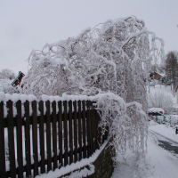 obrázek k Kornice Zasněžené Kornice 4. 12. 2019
