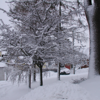 obrázek k Kornice Zasněžené Kornice 4. 12. 2019