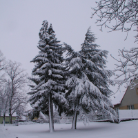 obrázek k Kornice Zasněžené Kornice 4. 12. 2019