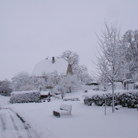 Zasněžené Kornice 4. 12. 2019