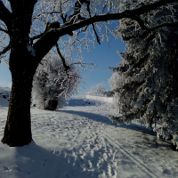 obrázek k Kornice Jinovatka 15. 2. 2021
