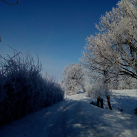 obrázek k Kornice Jinovatka 15. 2. 2021