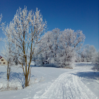 obrázek k Kornice Jinovatka 15. 2. 2021