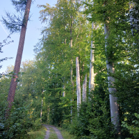 obrázek k Úvodní strana