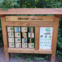 obrázek k Dřeviny