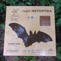 obrázek k Najdi netopýra