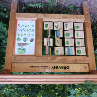 obrázek k Příměstský les Černá hora - lesopark